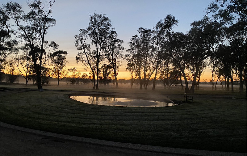 Image taken at sunset over a lake in a paddock on farm at Yulong Investments. Yulong is an Australian Thorougbred Breeding and Racing operation based out of Nagambie Victoria, Australia.