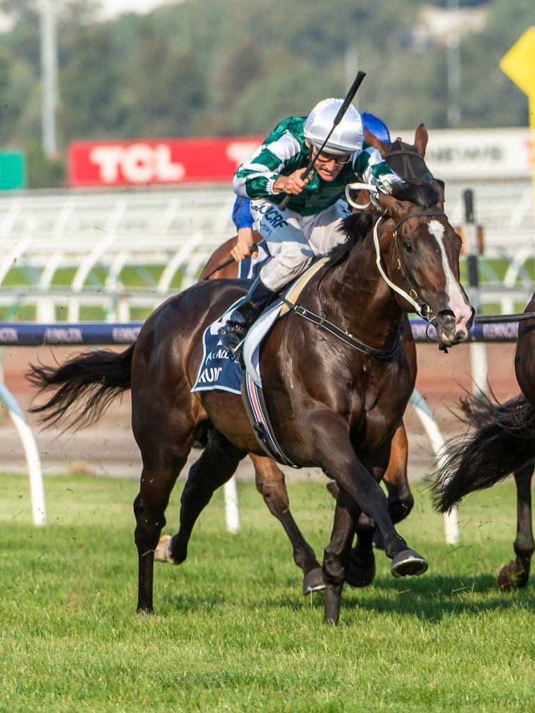 The Allstar Mile Raceday at Flemington Racecourse.