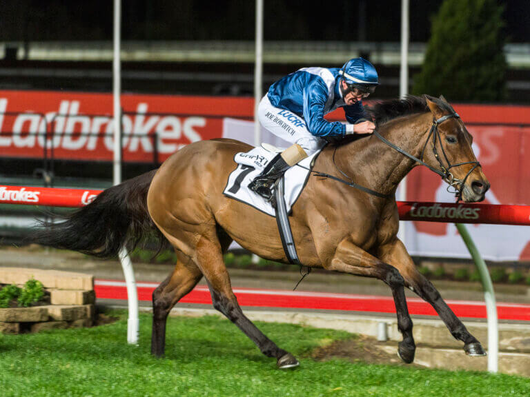 Moir Stakes (1000m) (G1) on Moir Stakes (Night Meeting) at The Valley Racecourse