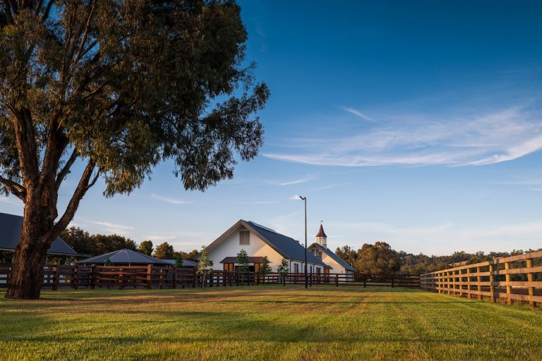Yulong Farm.  Wednesday 18 November 2020.