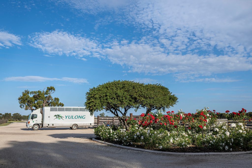 This image is of the Yulong truck leaving the farm Yulong Investments is an Australian Thoroughbred Breeding and Racing operation based in Nagambie Victoria