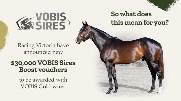 VOBIS Program Boost