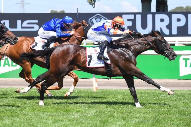 Veight ridden by Damian Lane wins the MSS Security Sires' Produce Stakes at Flemington Racecourse on March 11, 2023 in Melbourne, Australia. (Photo by Pat Scala/Racing Photos)