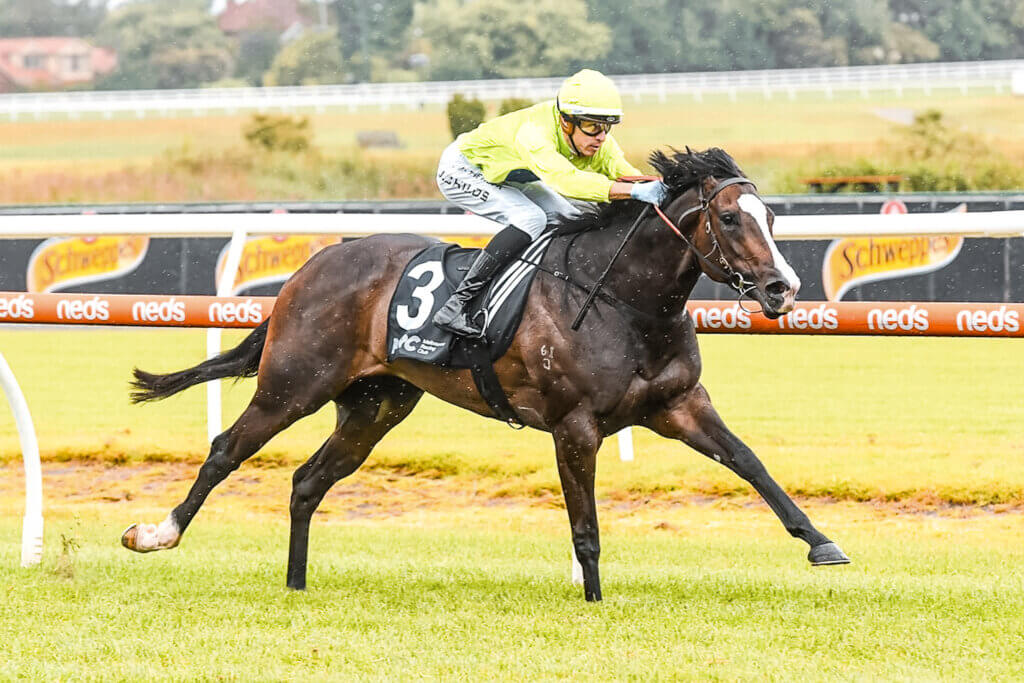 Grunt Riders New first-crop stakes winner for Grunt - Yulong Invest