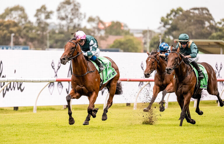 Straight Charge_Rosehill 24 Feb G (1)