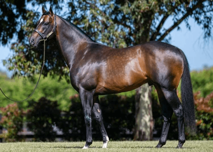 Alabama Express will stand for $55,000 inc GST in 2024 | Standing at Yulong