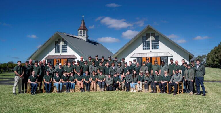 2023 Yulong Stallions Photoshoot, Yulong Farm