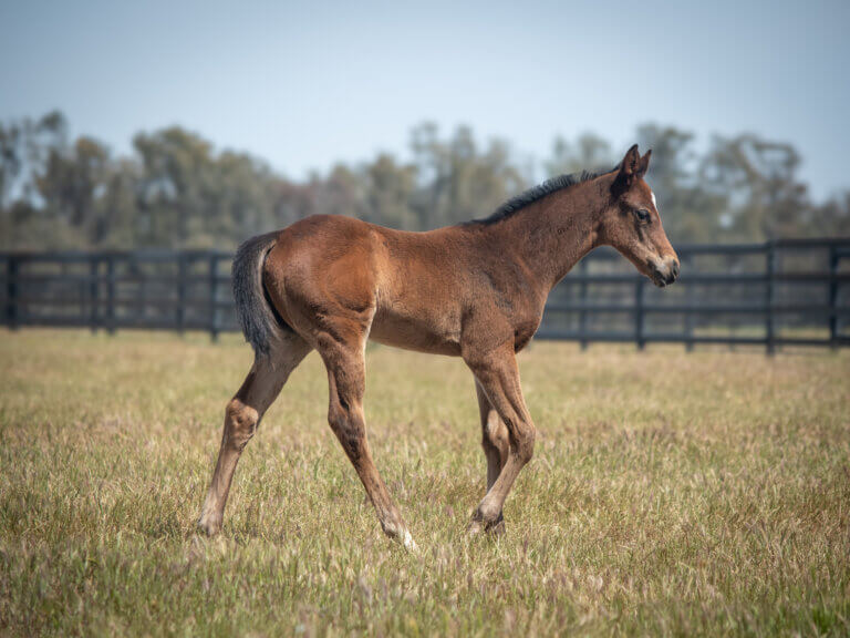 Pan x Inspirational Girl