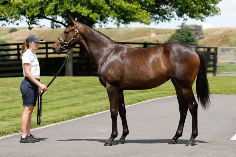 Copyright Angelique Bridson