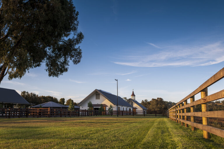 Yulong Farm.  Wednesday 18 November 2020.