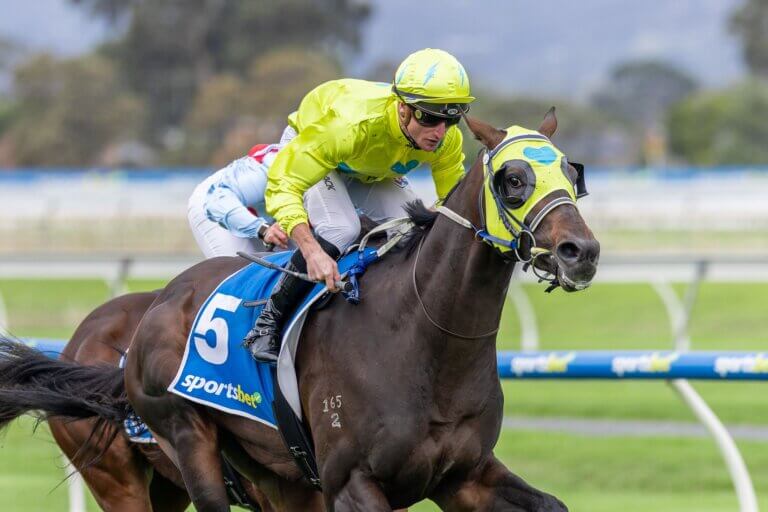 McWoody Port Adelaide Guineas