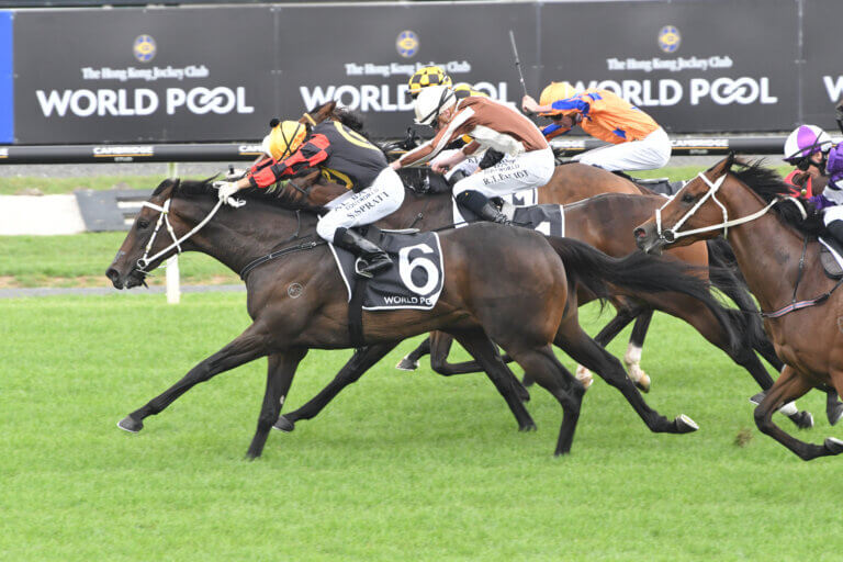 PROVENCE - AUCKLAND 8-3-2025 RACE IMAGES PHOTO THERESE DAVIS DSC_8436 2072240