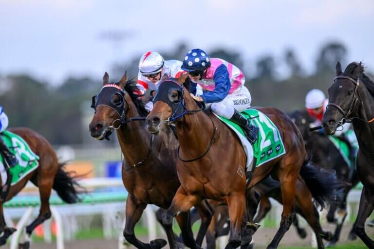 Arabian Rose (Alabama Express) -MichaelMcInally