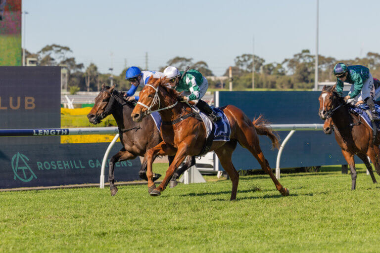 Omolong_Rosehill_4July26-1