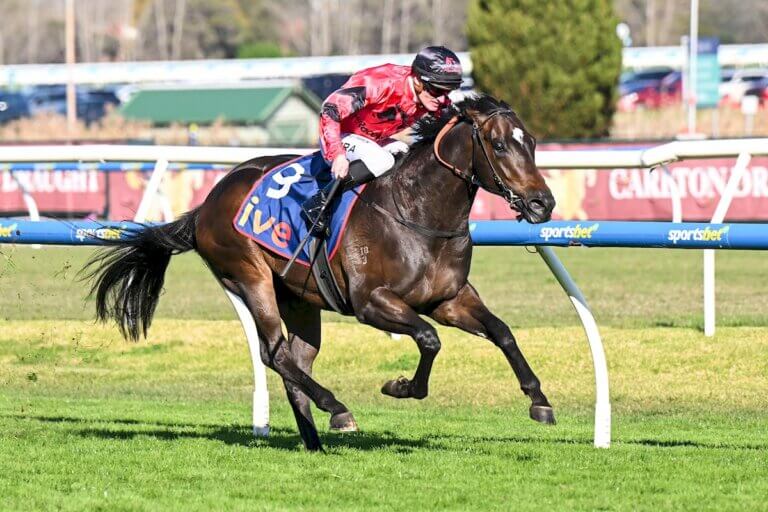 American Eagle Gr.3 McNeil Stakes