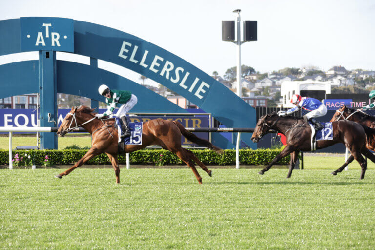 WELL WRITTEN - AUCKLAND 5-9-2026 RACE IMAGES PHOTO