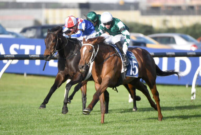 WELL WRITTEN - AUCKLAND 5-9-2026 RACE IMAGES PHOTO ACTION